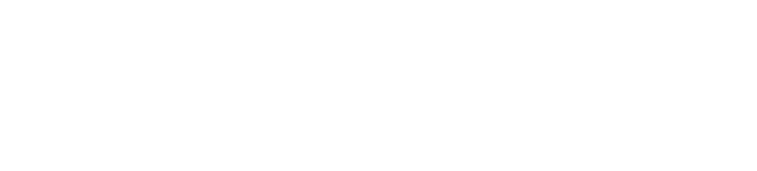 SSD Academy
